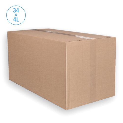 Thermobox Styrofoam box 4 liter cooler box shipping container (34 pieces per box)