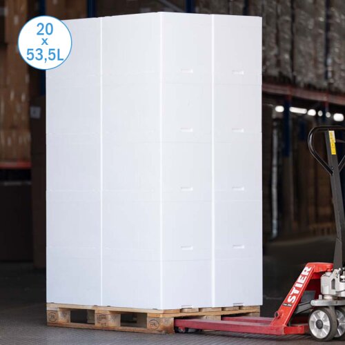 Thermobox Styrofoam box 53,5 liter cooler box shipping container (20 pieces per pallet)