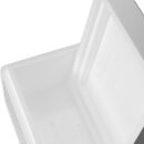 Thermobox Styrofoam box 7.3 liters cooling box shipping...