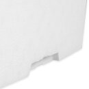 Thermobox Styrofoam box 39 liter cooling box shipping container for food, drinks, medication - Styrofoam made of EPS - reusable insulated box