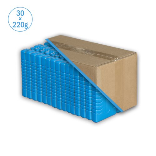 Cooling Pack 220g Iceblock – Long-lasting Cooling for Food, Beverages, and Medications (30 pieces per box)