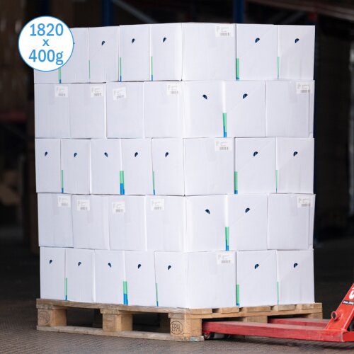 Flat Cool Pack 400g Freezeboard – Long-lasting Cooling for Food, Beverages, and Medications (1820 pieces per pallet)