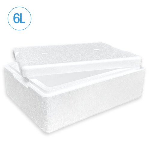 Thermobox Styrofoam box 6 liter cooling box shipping container for food, drinks, medication - Styrofoam made of EPS - reusable insulated box