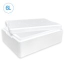 Thermobox Styrofoam box 6 liter cooling box shipping container for food, drinks, medication - Styrofoam made of EPS - reusable insulated box
