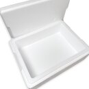 Thermobox Styrofoam box 6 liter cooling box shipping container for food, drinks, medication - Styrofoam made of EPS - reusable insulated box