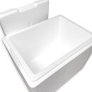 Thermobox Styrofoam box 21,2 liter cooling box shipping container for food, drinks, medication - Styrofoam made of EPS - reusable insulated box