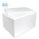 Thermobox Styrofoam box 42,2 liter cooling box shipping container for food, drinks, medication - Styrofoam made of EPS - reusable insulated box