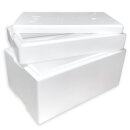 Thermobox Styrofoam box 42,2 liter cooling box shipping container for food, drinks, medication - Styrofoam made of EPS - reusable insulated box